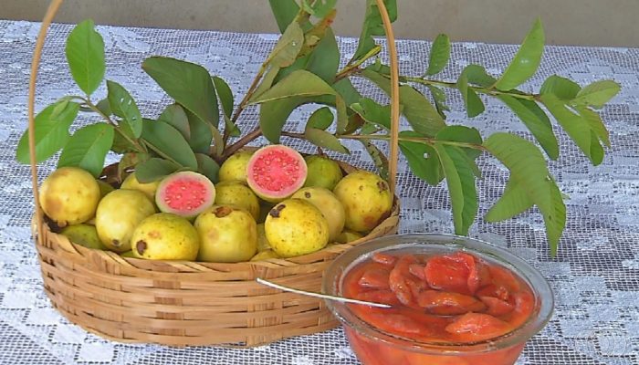 1 de 1Receita de doce de goiaba — Foto: Reprodução/TV Anhanguera