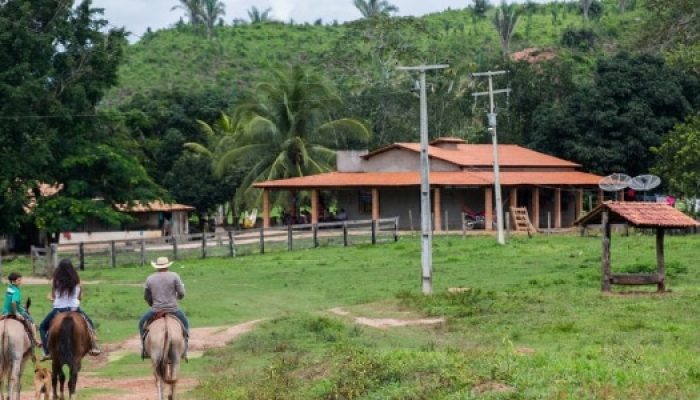 Arrendamento de imóvel rural à luz da sua função social