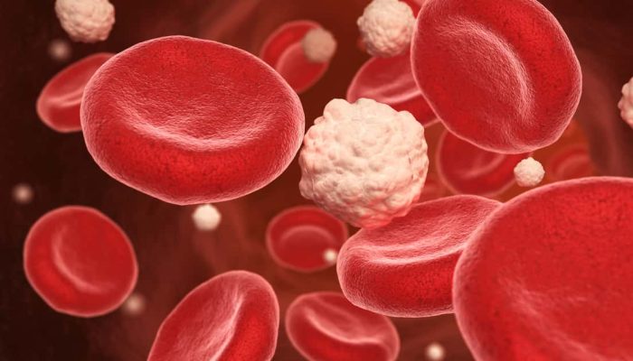 pessoas com esse tipo de sangue envelhecem mais lentamente