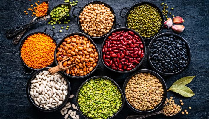 Descubra as principais fontes de proteína vegetal