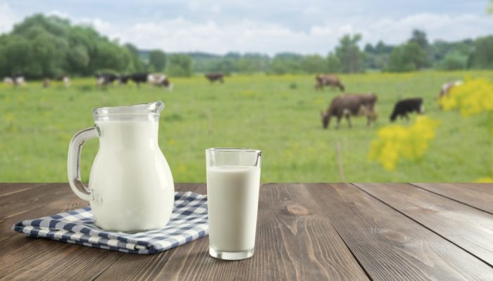 Estado deve fornecer fórmula alimentar especial a criança alérgica