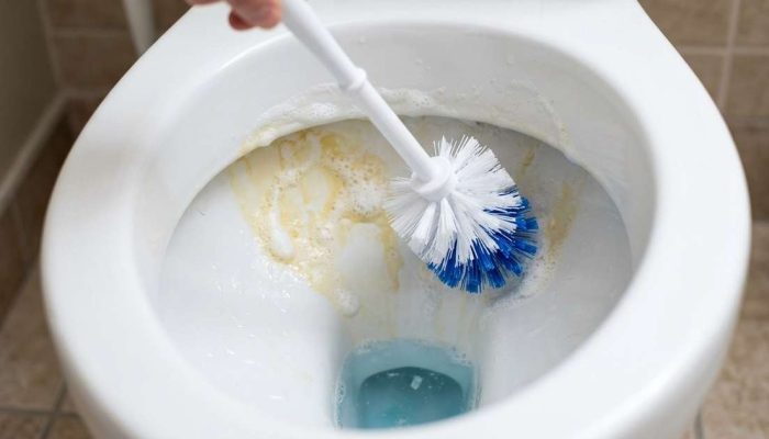 1 colher de sopa. 1 litro de água. As manchas amarelas do vaso sanitário sumiram em dois dias