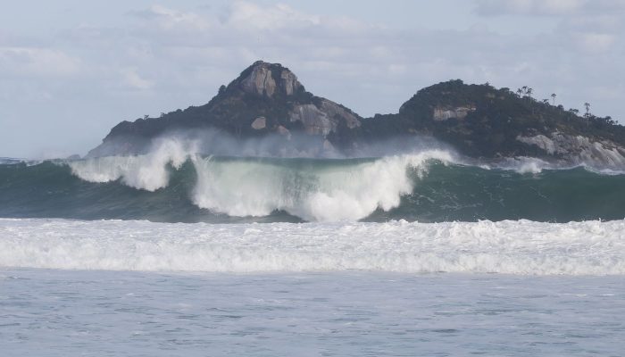 Jovens de 9 países participam de curso de pesquisas oceânicas no Rio