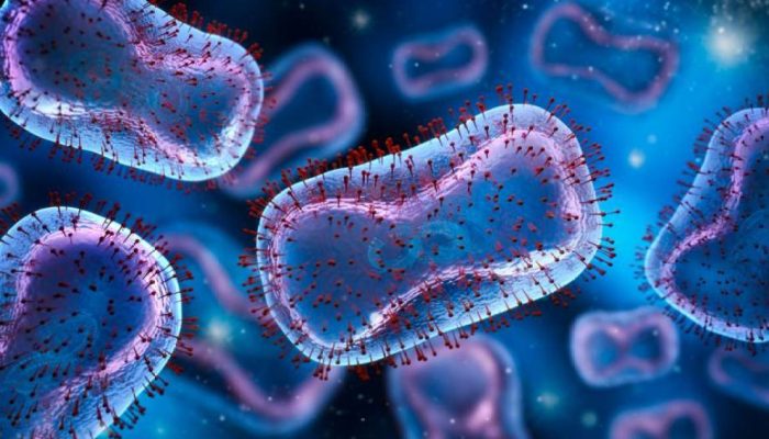 Brasil soma 88 casos de mpox; “alta dialoga com carnaval, mas não se compara a 2022”, diz especialista