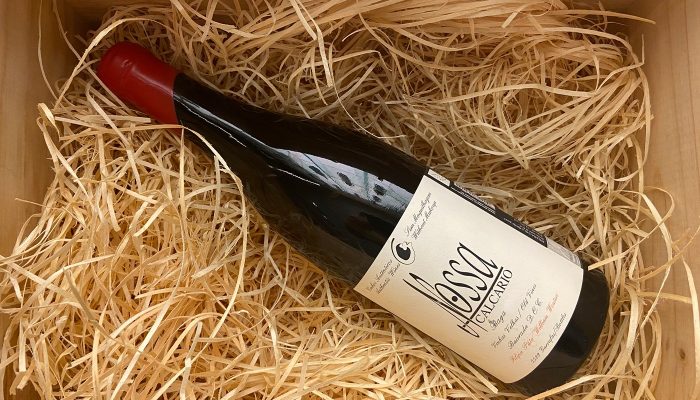 1 de 1   O apreciador do vinho mudou: agora não busca só preço, mas propósito e terroir