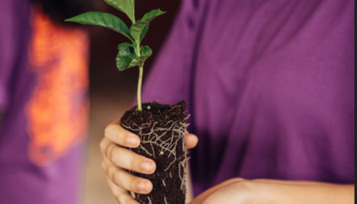 Fundação Educar abre inscrições gratuitas para oficina de sustentabilidade ambiental