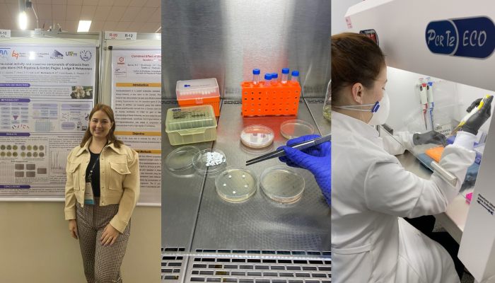 1 de 3Pesquisadora identificou que, em até uma hora após a aplicação, não há crescimento bacteriano no local tratado. — Foto: Gabrielle Caroline Peiter