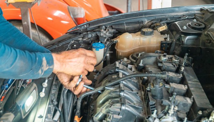 PIB: Serviços têm alta de 0,8% no 4º tri e de 1,8% em 2025 | Brasil