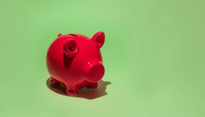 5 dicas para usar o dinheiro com sabedoria