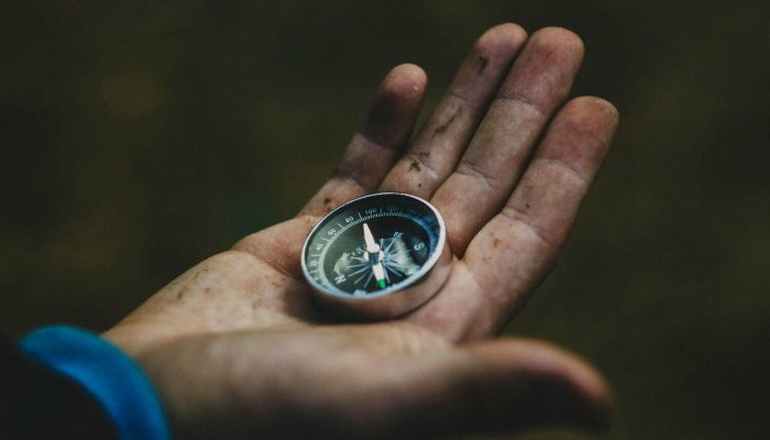 Economia e contabilidade: entenda a relação essencial