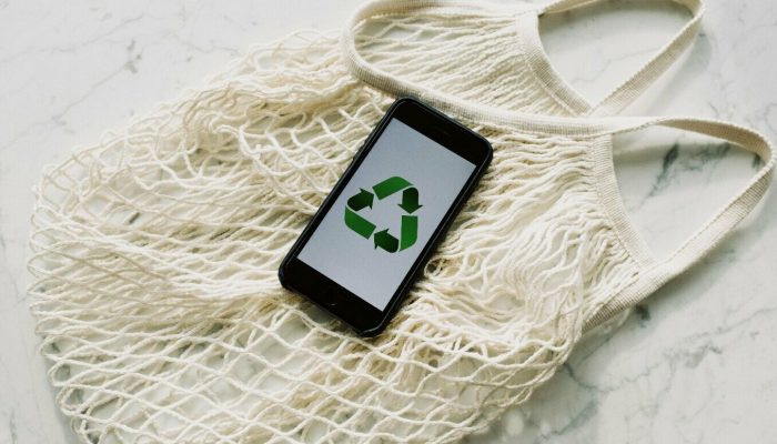 implicações para o desenvolvimento sustentável