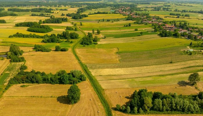 Fiscalização ambiental intensifica; agro precisa se adaptar para evitar multas