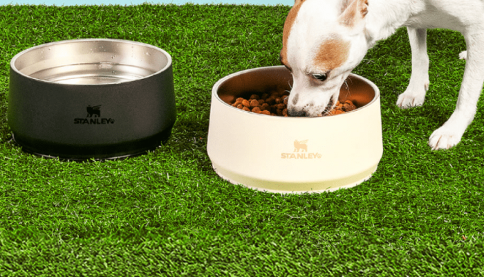 Copo Stanley para pets: marca lança potes térmicos para dar água e comida a cães e gatos