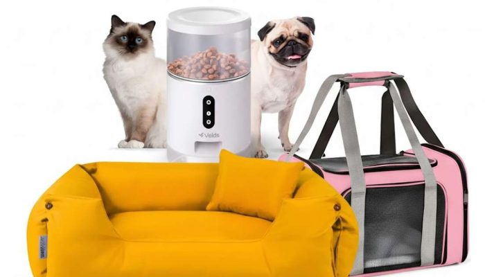 confira acessórios para cães e gatos com super descontos