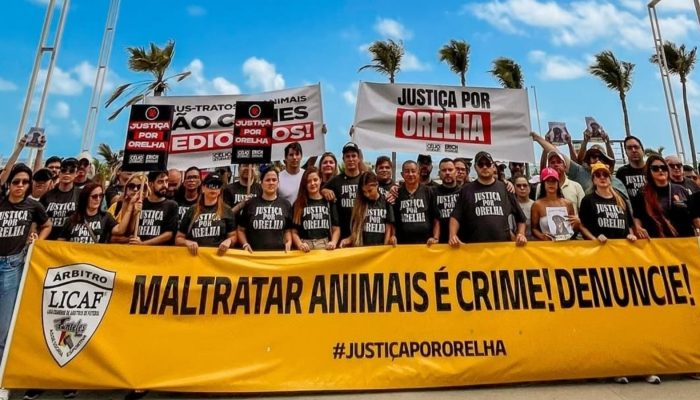 1 de 1Manifestação em Fortaleza pede justiça por cachorro Orelha morto em Santa Catarina. — Foto: Reprodução