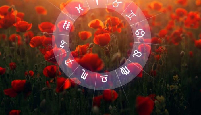 previsão para os 12 signos em 31/01/2026