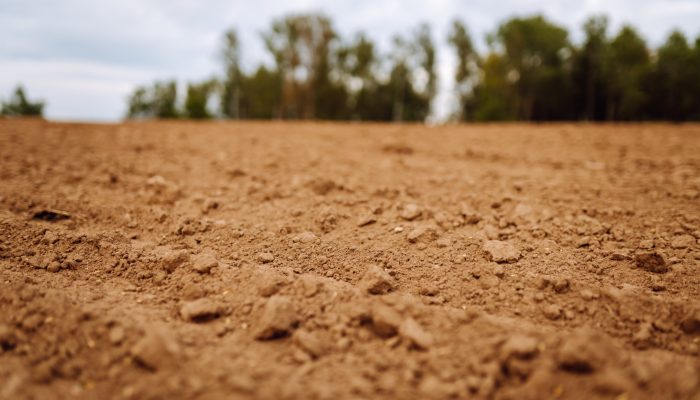 Juiz nega reintegração de posse de terreno ocupado há 20 anos