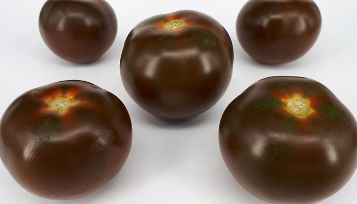 Tomate brown: conheça os benefícios desta va...