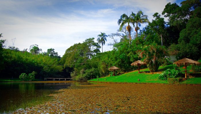 Governo de São Paulo lança a “Rota da Cachaça” com municípios da região de Campinas