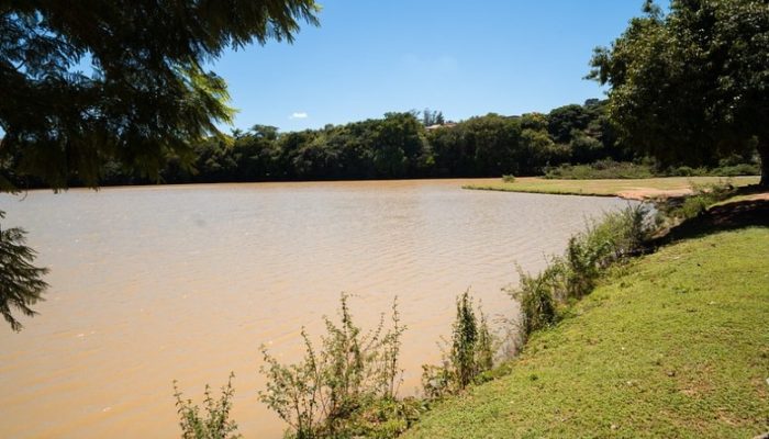 Prêmio internacional situa Valinhos entre cidades referência em arborização