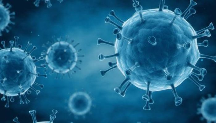 Busca pela cura do HIV dá passo importante com pesquisa inédita brasileira