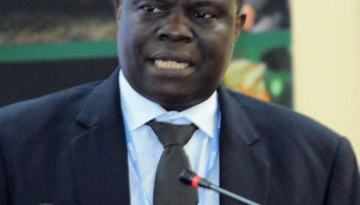 Se COP30 não for inclusiva em Belém, desejamos outro local, diz líder dos países africanos | Brasil