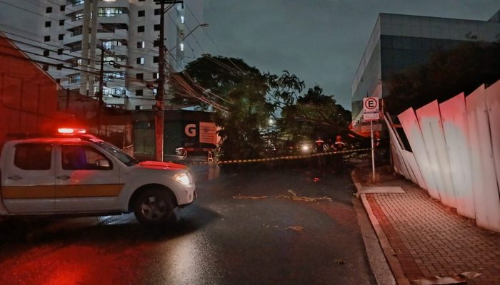 1 de 1Chuva derruba árvore, que atinge fiação elétrica em Poá — Foto: Wiston Castro/Arquivo Pessoal