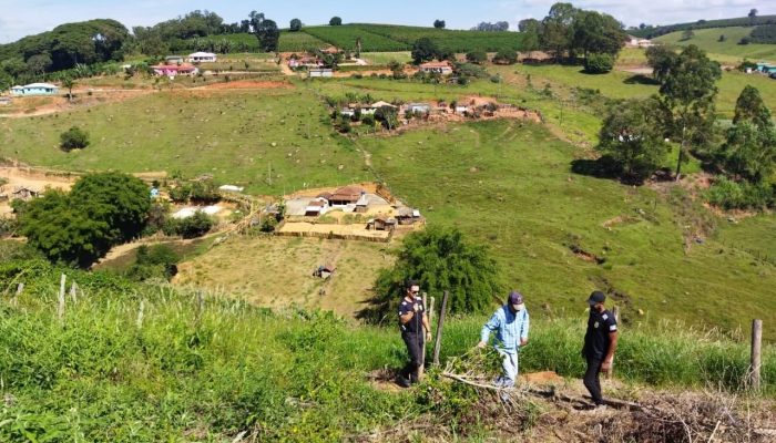 1 de 2Polícia Civil prende homem suspeito de tentar matar o próprio irmão em Nova Resende — Foto: Polícia Civil