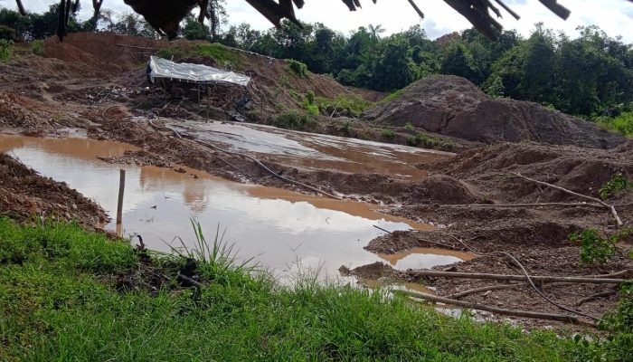 1 de 1Avanço do garimpo ilegal no Maranhão é de “extrema gravidade” e atrai trabalho escravo e tráfico de drogas, aponta MPF — Foto: Reprodução/Redes Sociais